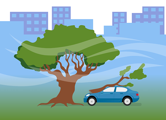 Что делать, если дерево упало на машину 2023: куда жаловаться, кто возместит ущерб?